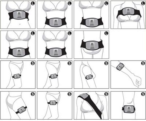 Zones du corps pour l'utilisation de la ceinture