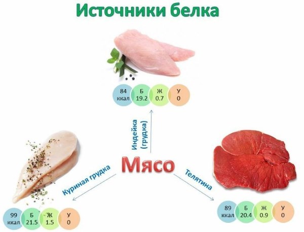 Perdre pes en aliments proteics: llista i taula d'aliments calòrics