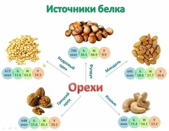 Perdre pes en aliments proteics: llista i taula d'aliments calòrics