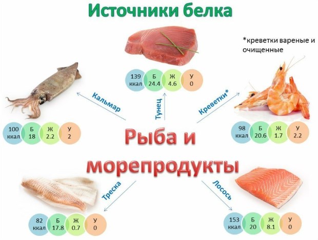 Perdre pes en aliments proteics: llista i taula d'aliments calòrics