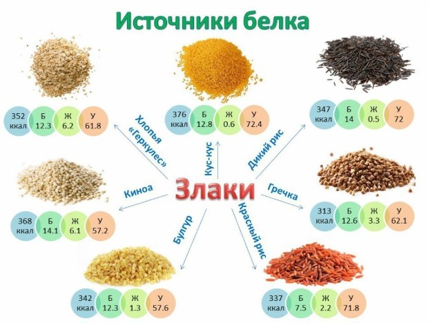 Perdre pes en aliments proteics: llista i taula d'aliments calòrics