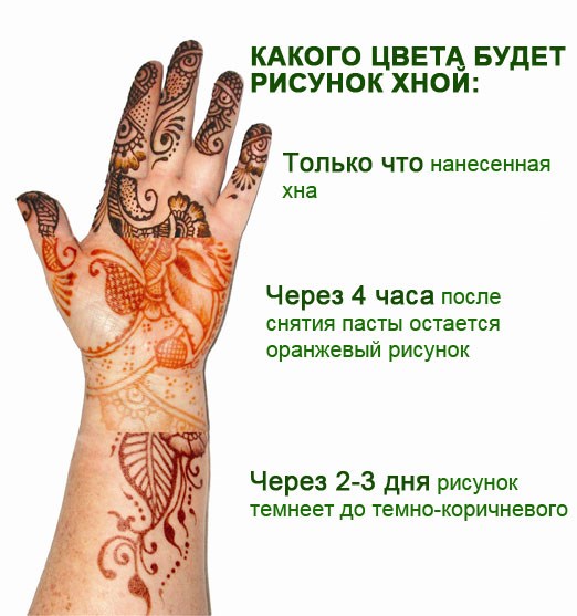 Mehendi: què és. Dibuixos de henna al cos per a principiants. Esbossos, dissenys de tatuatges