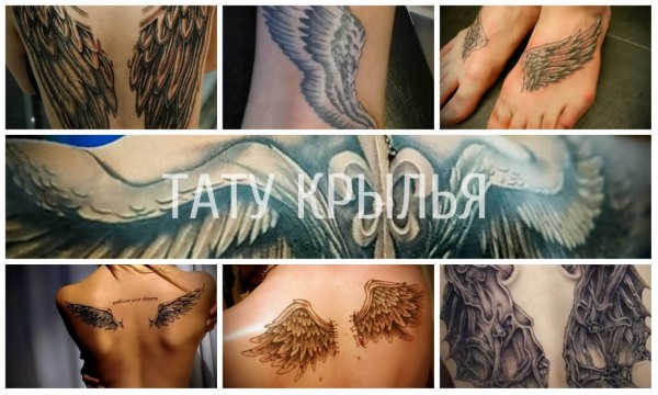 Tattoo Wings (ala) a l'esquena: significat per a noies i homes. Una foto