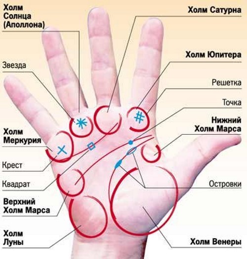 El significat de les línies al palmell de la mà dreta i esquerra per a dones i homes. Quiromàntica en imatges en un idioma accessible amb una foto