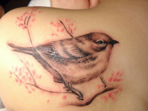 Tatouage d'oiseau - ce qui signifie pour les filles tatouages ​​d'aigle, de faucon, de colombe, d'hirondelle, de hibou, de volée d'oiseaux. Photos et croquis