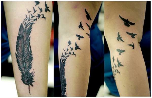 Tatouage d'oiseau - ce qui signifie pour les filles tatouages ​​d'aigle, de faucon, de colombe, d'hirondelle, de hibou, de volée d'oiseaux. Photos et croquis