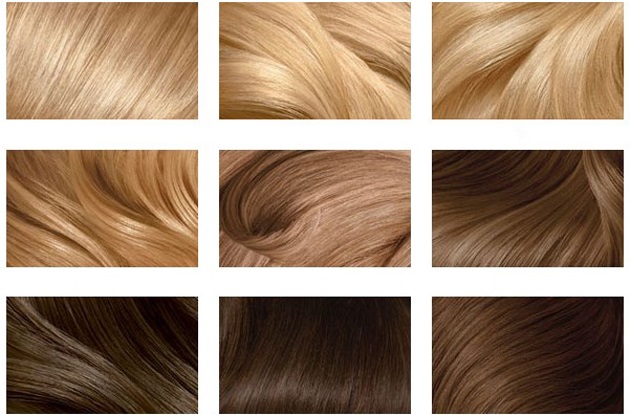 Coloration cheveux châtain clair Garnier, Estelle, Loreal, Kapus, Palet, Igor. Palette, photo sur cheveux