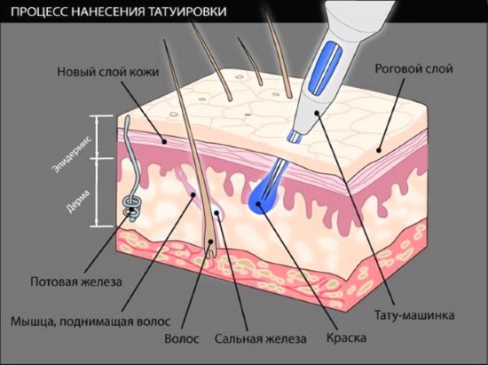 Tatuatges de màniga per a noies: blanc i negre, color, espai, biomecànica, Japó, polinèsia, drac, bosc, flors, xicano, llop, vella escola, samurais. Quant costa fer-se un tatuatge