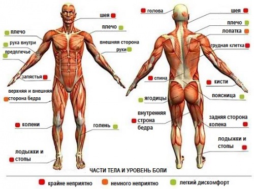 Tatuatges de màniga per a noies: blanc i negre, color, espai, biomecànica, Japó, polinèsia, drac, bosc, flors, xicano, llop, vella escola, samurais. Quant costa fer-se un tatuatge