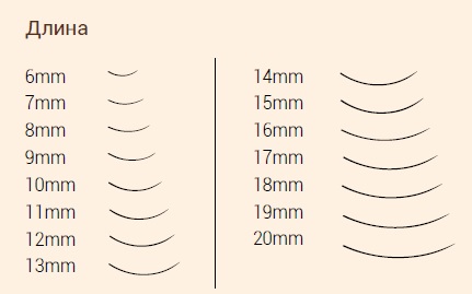 Curls de cils pour extension: l, m, s, l, d, ss, b, j, 3D. Photo, dimensions, épaisseur et longueur