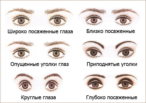 Effet 2D de cils étendus. Photos avant et après: renard, naturel, marionnette, classique. Comment prendre soin. Prix