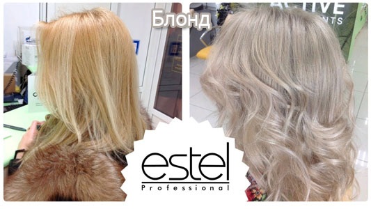 Palette de peinture Estel Professional. Catalogue, mise en page, numéros de teinte avec titre. Estelle professionnelle pour les cheveux gris, les brunes, les blondes