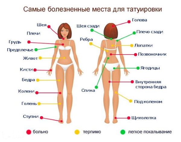 Esbossos de tatuatges per a noies. Petit, geomètric, preciós. Llop, guineu, flors, mussols, jeroglífics