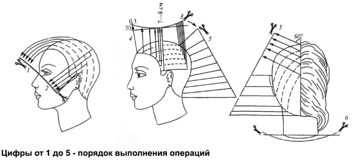 Coupe de cheveux Aurora pour cheveux courts. Photo, vue de face, vue de dos, avec une frange, pour un visage rond. Technique d'exécution