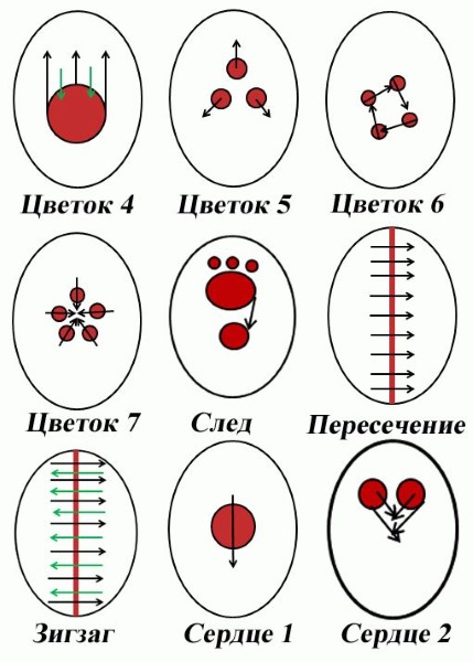 Dibuix d’ungles per a principiants amb gel de gel, aquarel·les, pintures acríliques, monogrames. Esquemes, instruccions