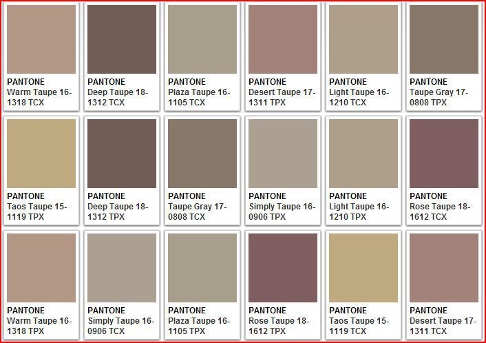 Color taupe: això és el que fa, foto amb roba, maquillatge. Què vestir, combinació