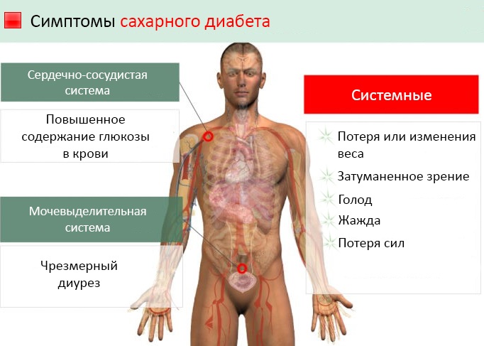 Tatuatge de celles. Contraindicacions, conseqüències, danys durant l’embaràs, menstruació, lactància i diabetis