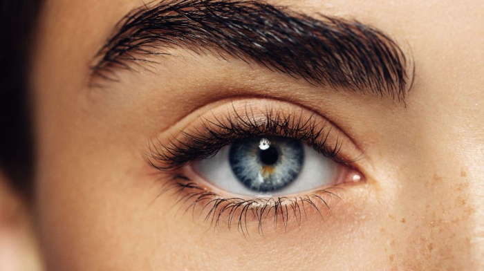 Coiffage à long terme des sourcils avec de la gélatine, du savon, des remèdes maison. Photo, vidéo