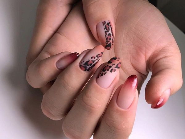 Manicura de lleopard. Foto, impressions amb esmalt de gel: vermell, rosa, blanc, negre, francès